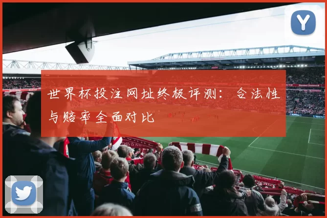 世界杯投注网址终极评测:合法性与赔率全面对比