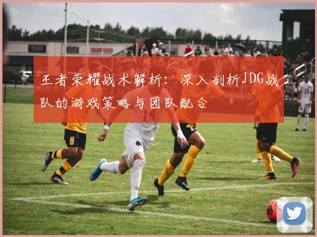 王者荣耀战术解析:深入剖析JDG战队的游戏策略与团队配合