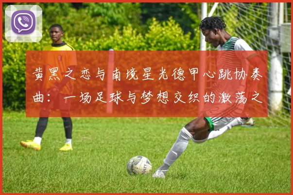 黄黑之恋与南境星光德甲心跳协奏曲：一场足球与梦想交织的激荡之旅