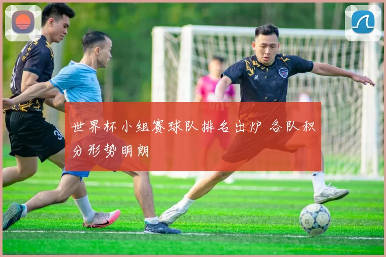 世界杯小组赛球队排名出炉 各队积分形势明朗