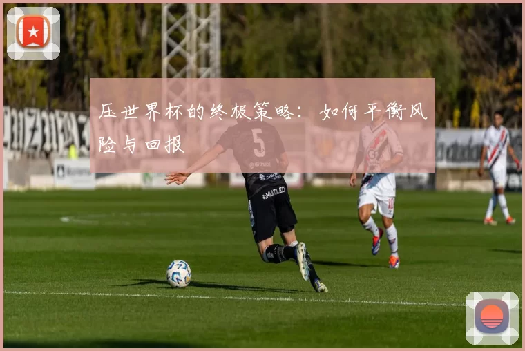 压世界杯的终极策略：如何平衡风险与回报