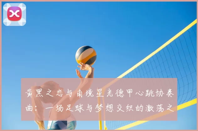 黄黑之恋与南境星光德甲心跳协奏曲：一场足球与梦想交织的激荡之旅