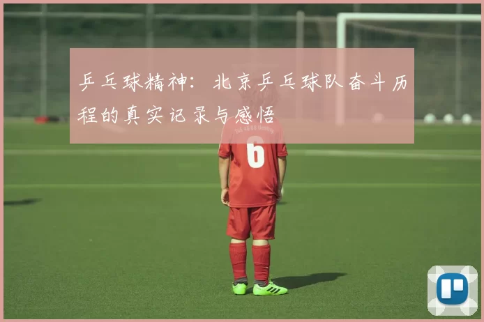 乒乓球精神:北京乒乓球队奋斗历程的真实记录与感悟