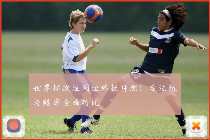 世界杯投注网址终极评测:合法性与赔率全面对比
