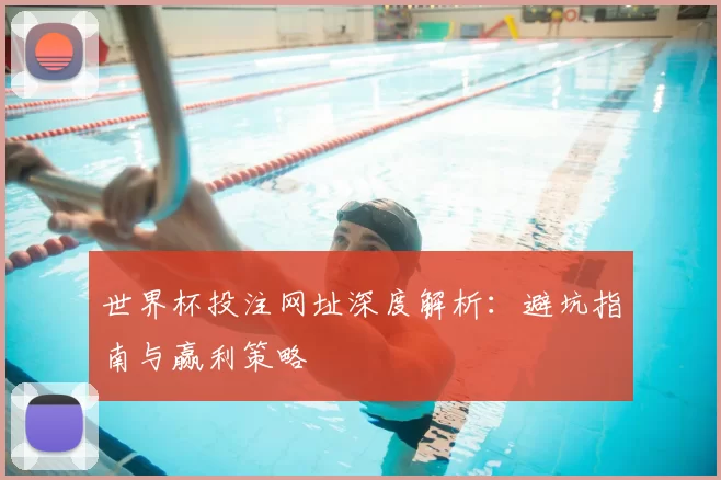 世界杯投注网址深度解析:避坑指南与赢利策略
