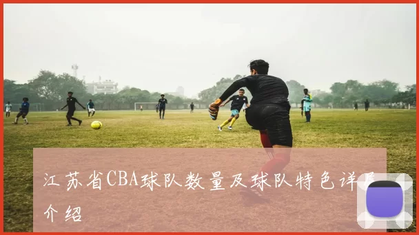 江苏省CBA球队数量及球队特色详尽介绍