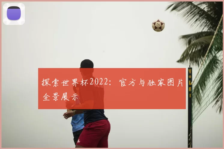 探索世界杯2022：官方与独家图片全景展示