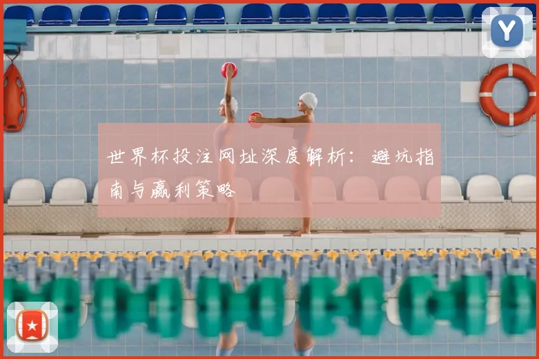 世界杯投注网址深度解析:避坑指南与赢利策略